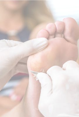 Scalpel Blades/Handles