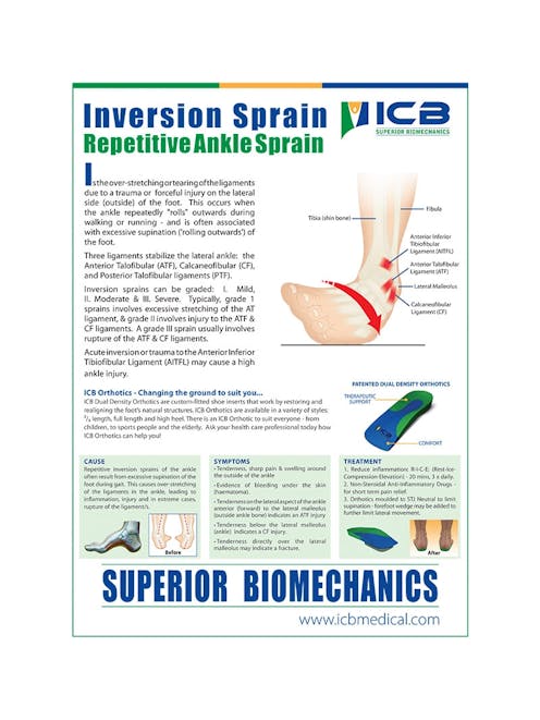FREE Inversion Sprain A2 Poster