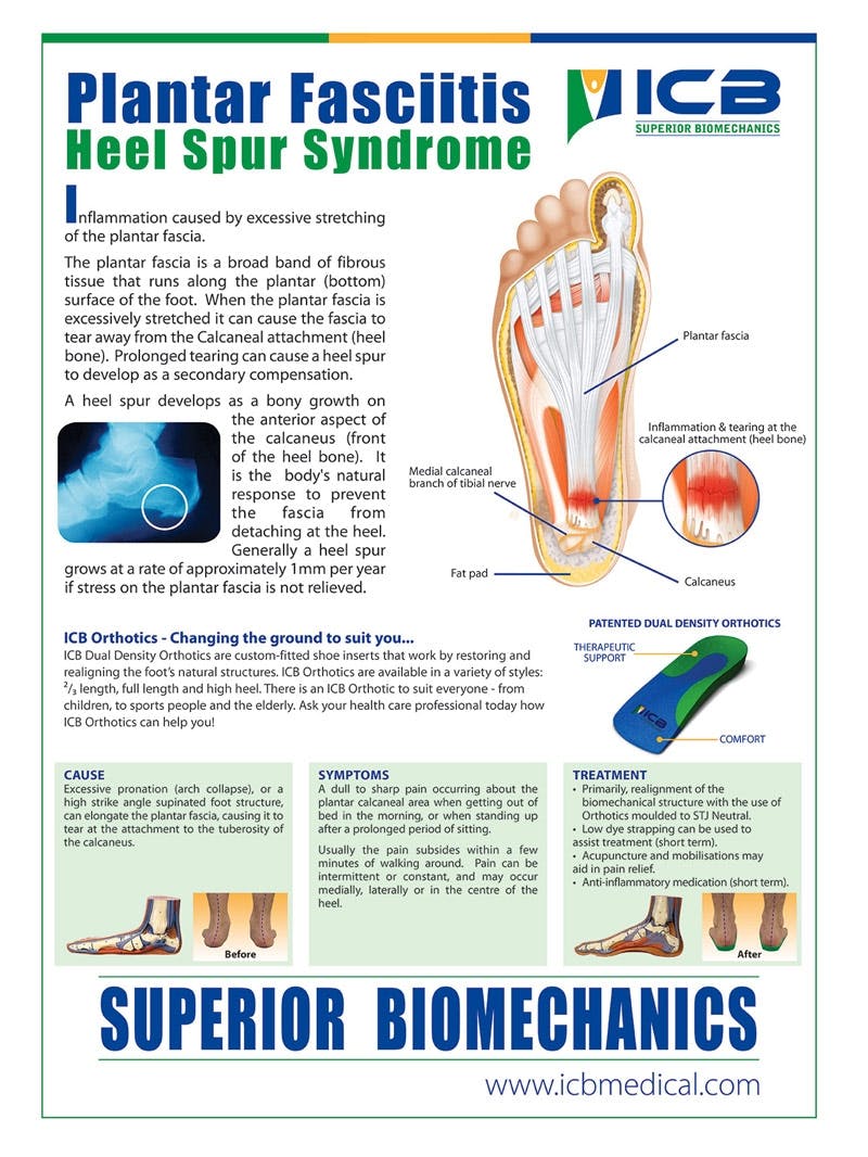 ICB Orthotic Slides | Arch Support Slides | Physio Recommended | Free  Postage